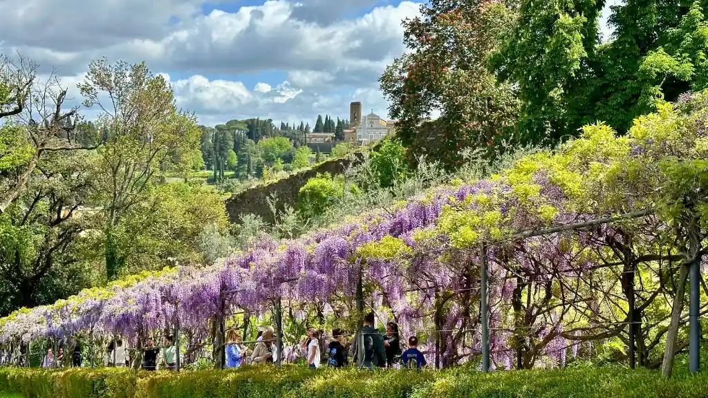 Enjoy the beautiful green spaces of Florence gardens | Florencewise